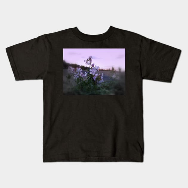 wildflowers & Columbia River sunset Kids T-Shirt by DlmtleArt